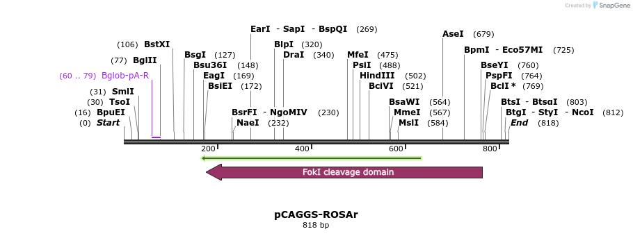119324_map