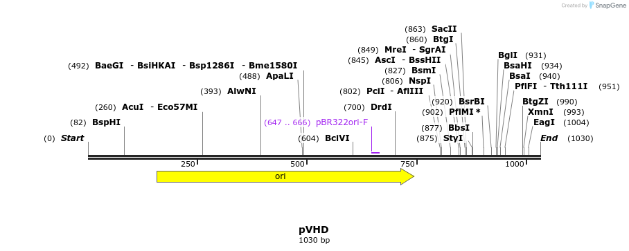 119327_map