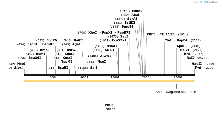 11933_map