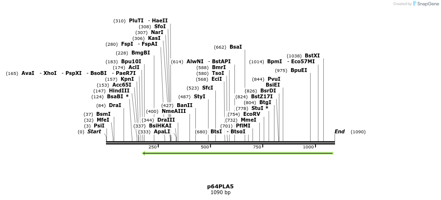 119333_map