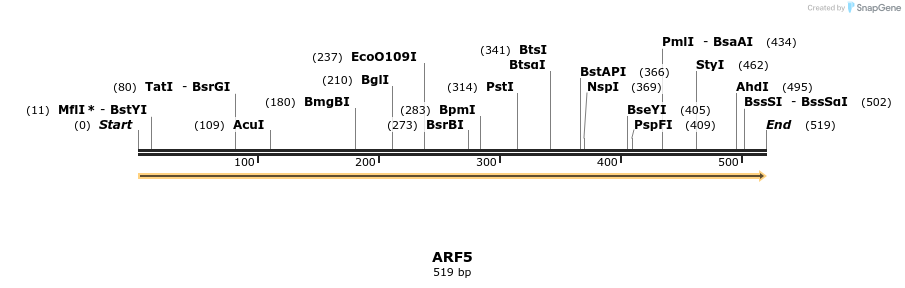 11934_map