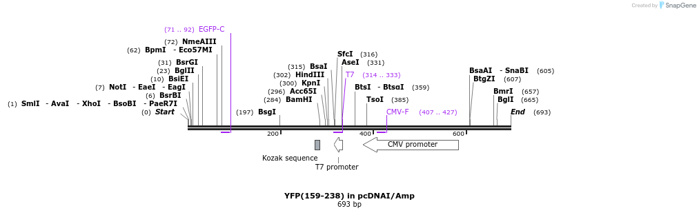 119343_map