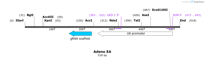 119347_map