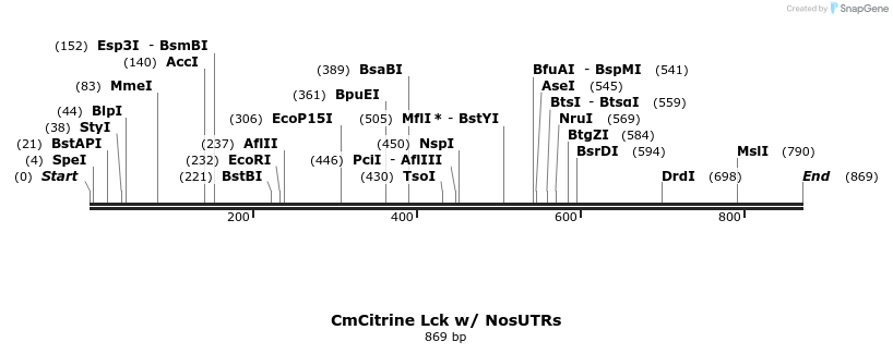 119348_map