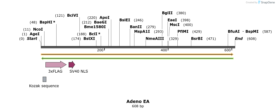 119349_map