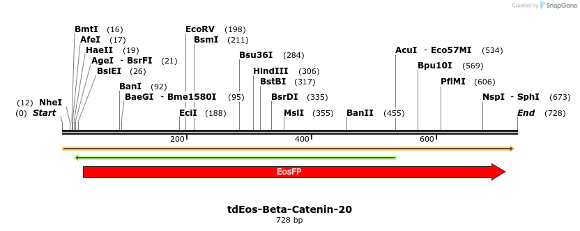 119353_map