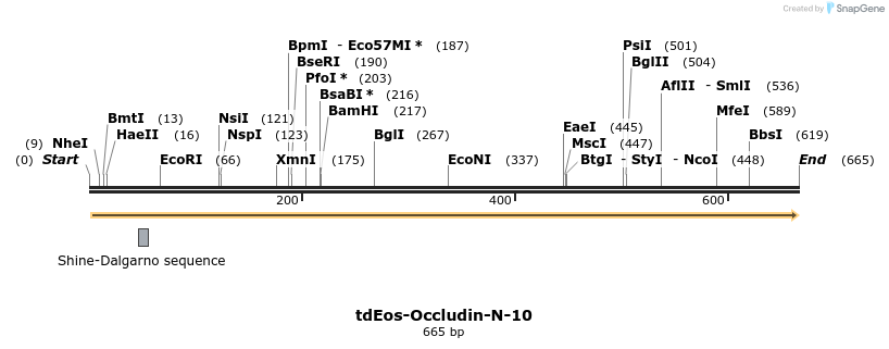 119357_map