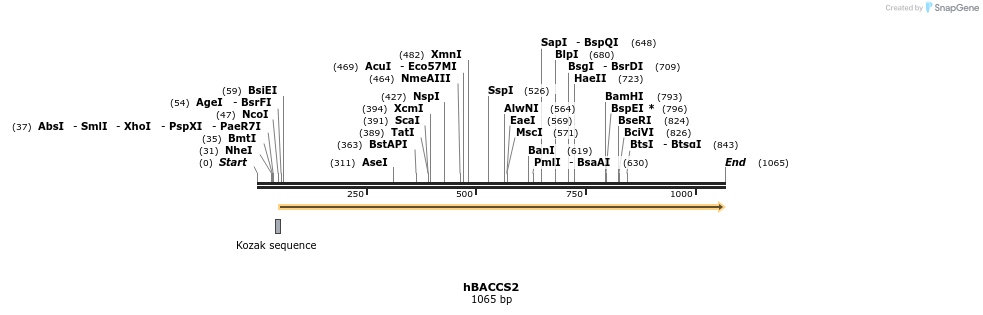 119358_map