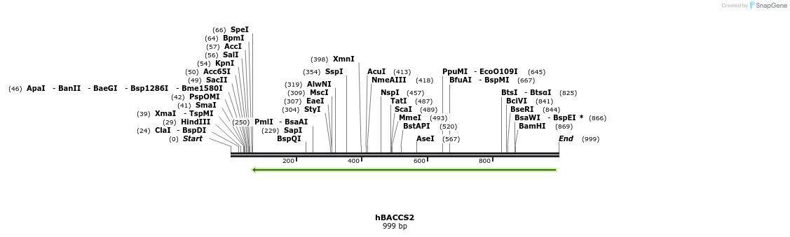119359_map