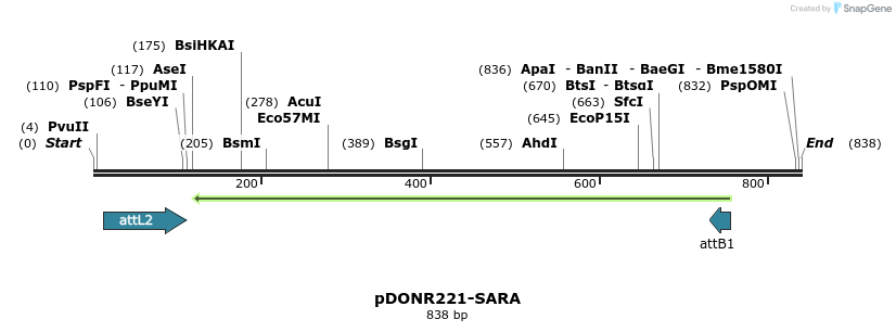 119361_map