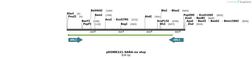 119363_map