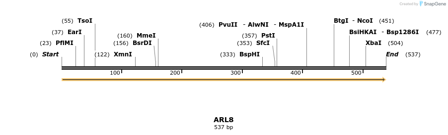 11937_map
