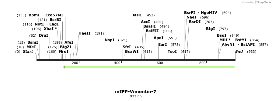 119371_map