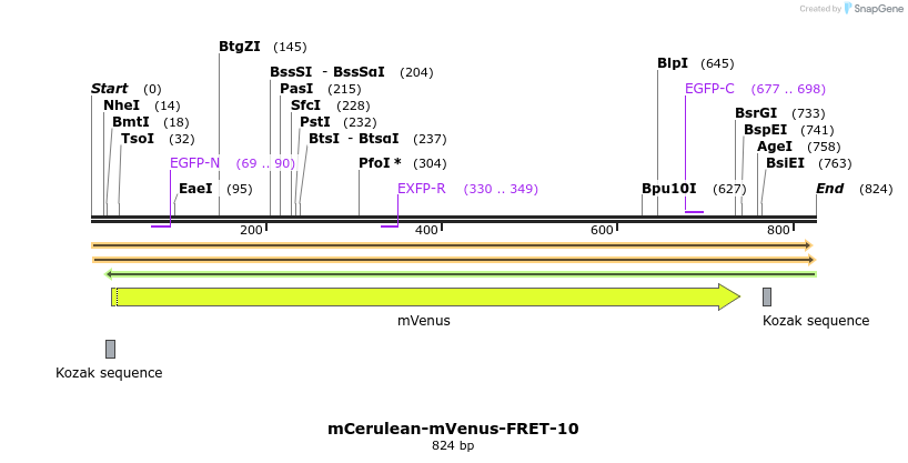 119379_map