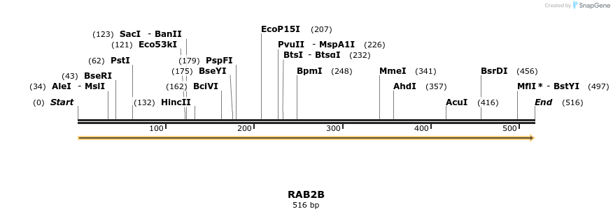 11938_map