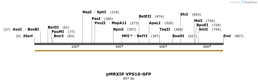 119383_map
