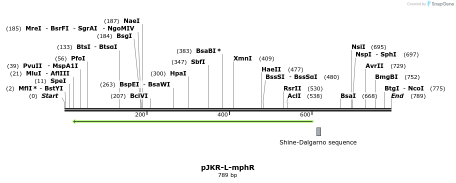 119386_map