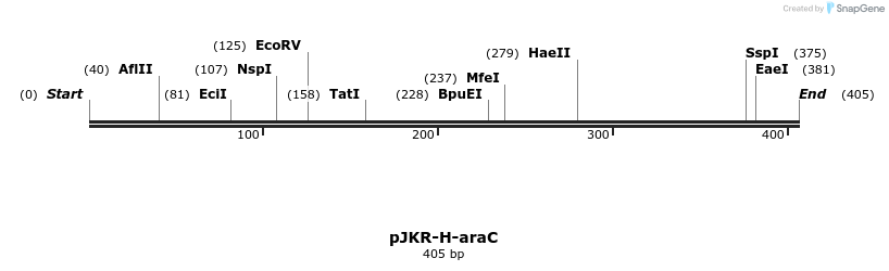 119387_map