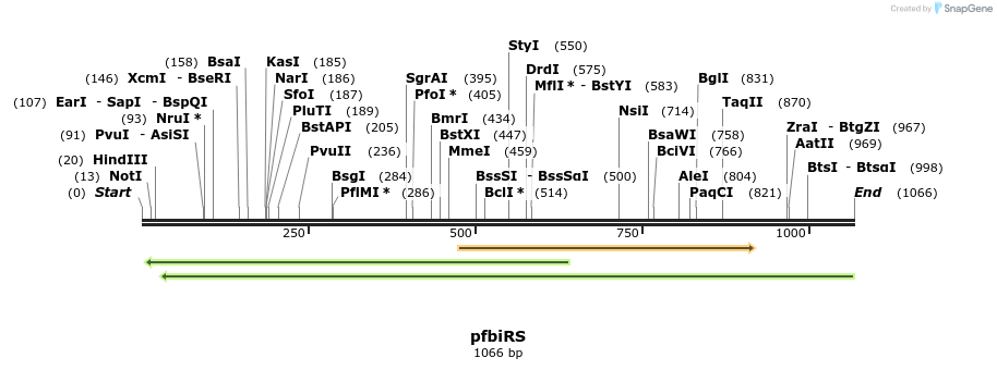 119408_map