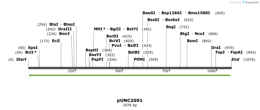 119412_map