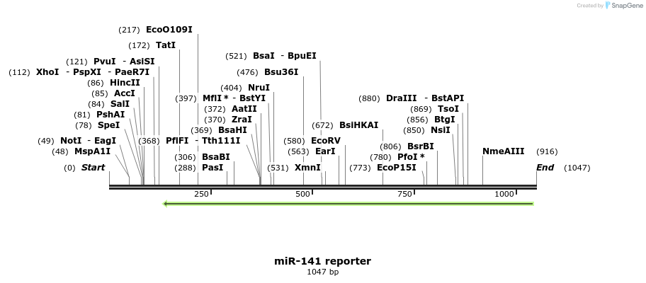 119418_map