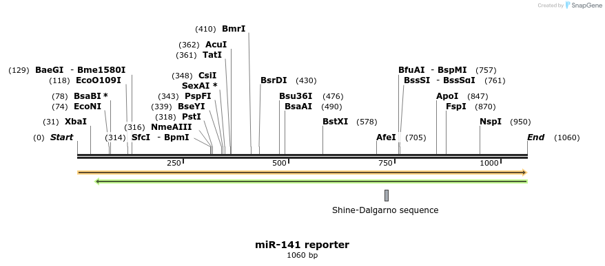 119419_map