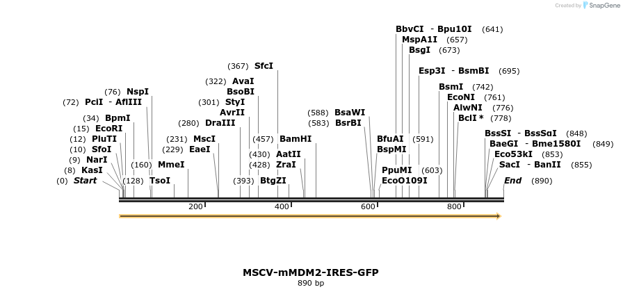 119422_map