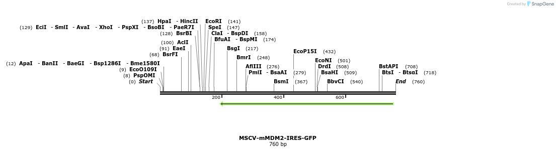 119423_map