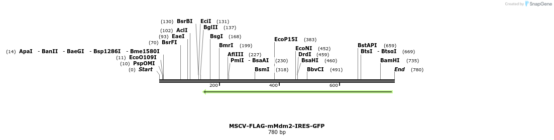 119424_map