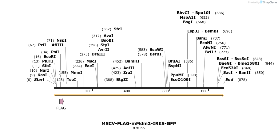 119425_map