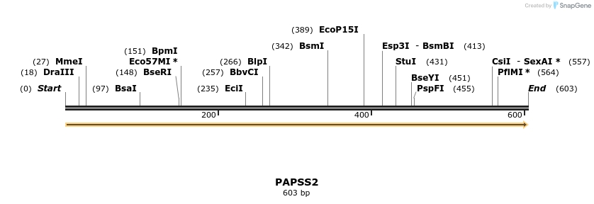 11943_map