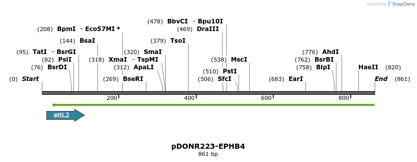 119437_map