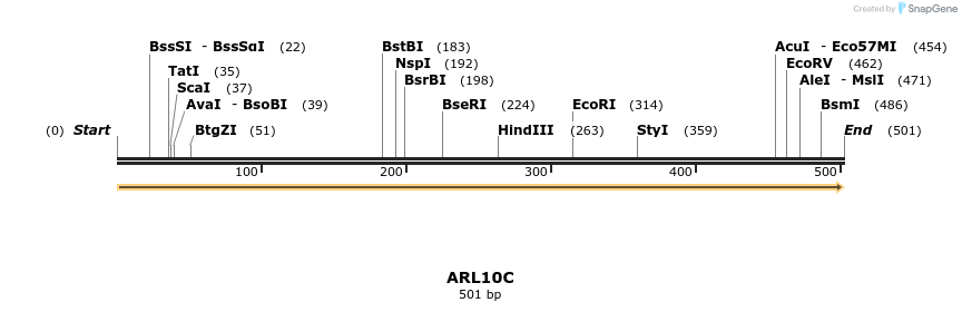11944_map