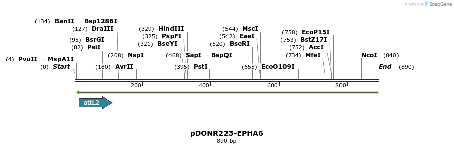 119440_map