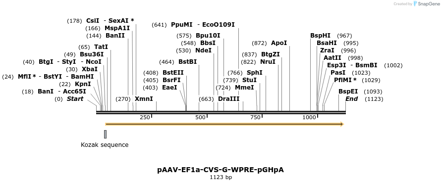 119455_map