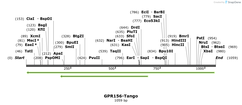 119472_map