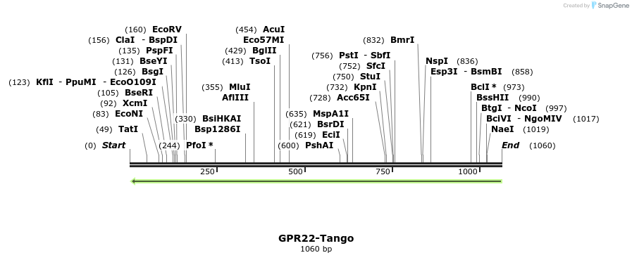 119476_map