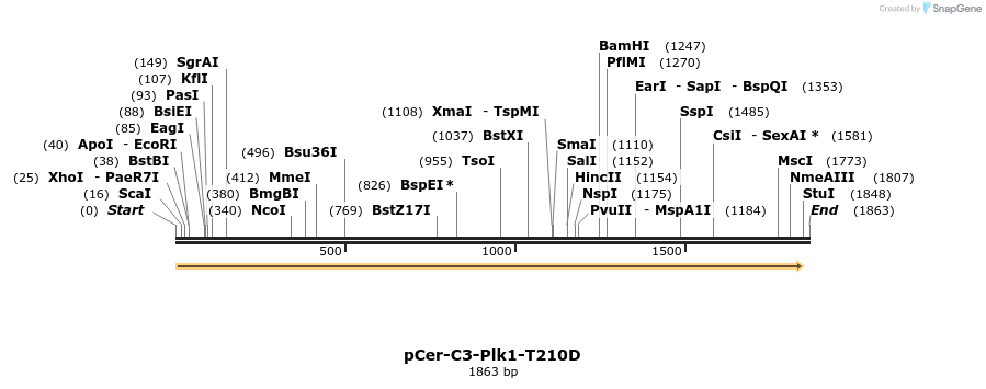 119502_map