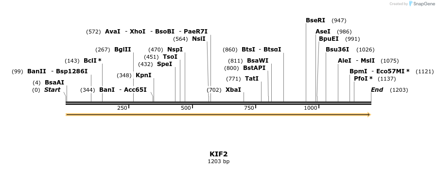 11952_map