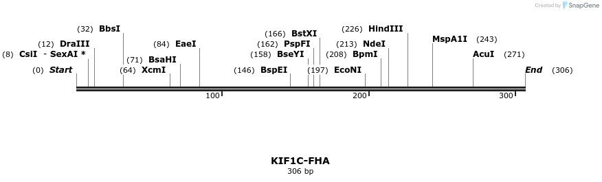 11953_map