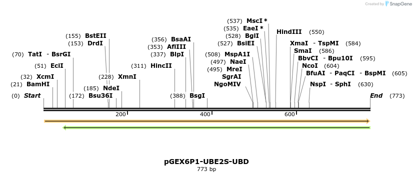 119540_map