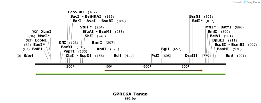119563_map