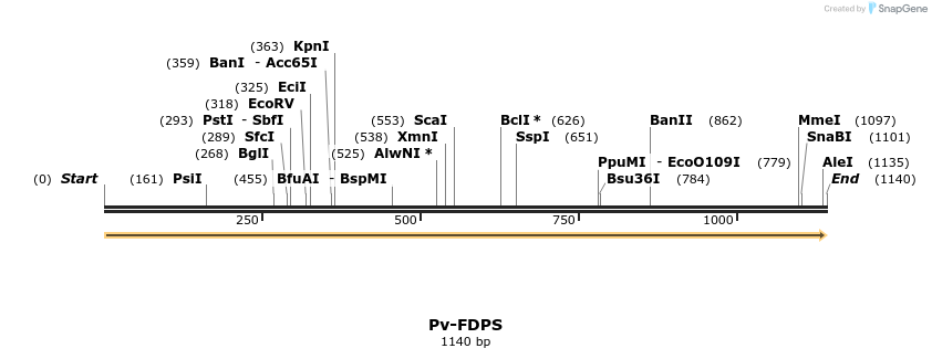 11958_map