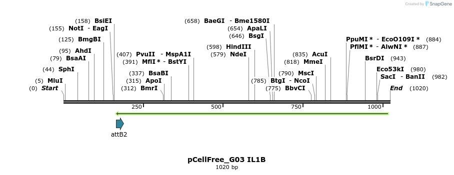 119581_map