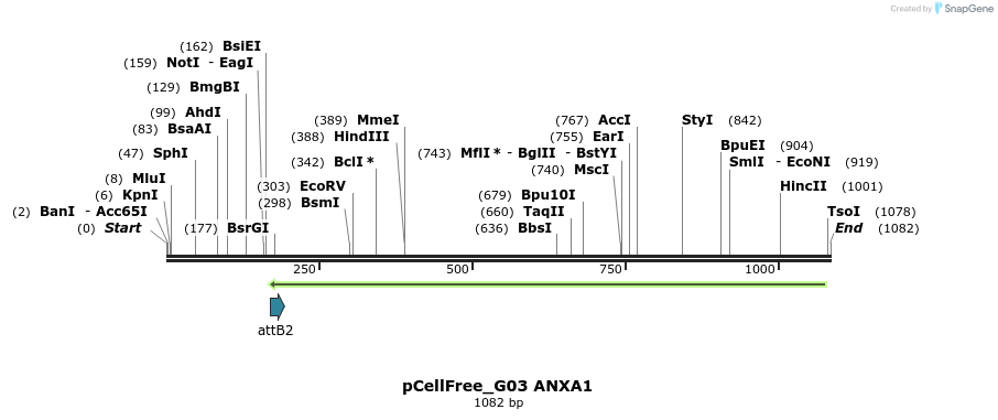 119588_map