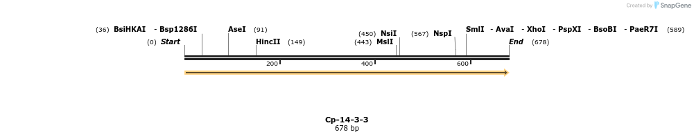11959_map