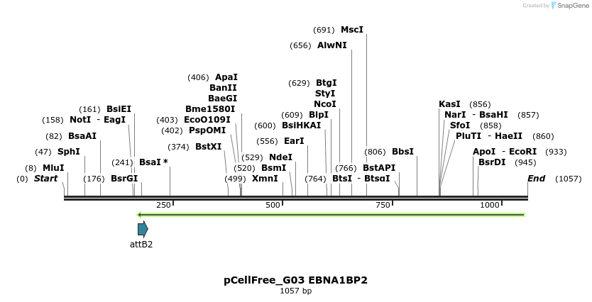 119590_map
