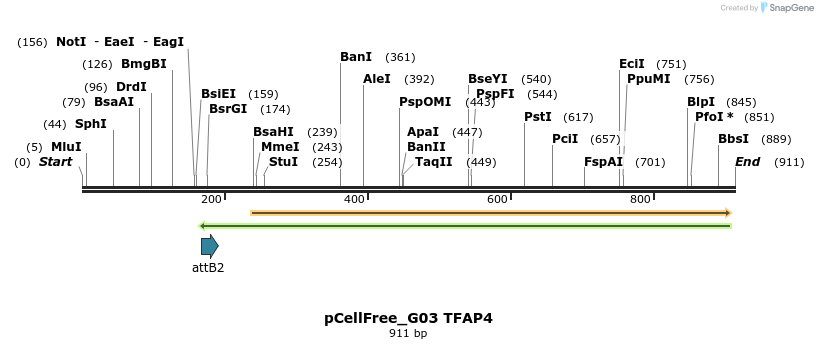 119598_map