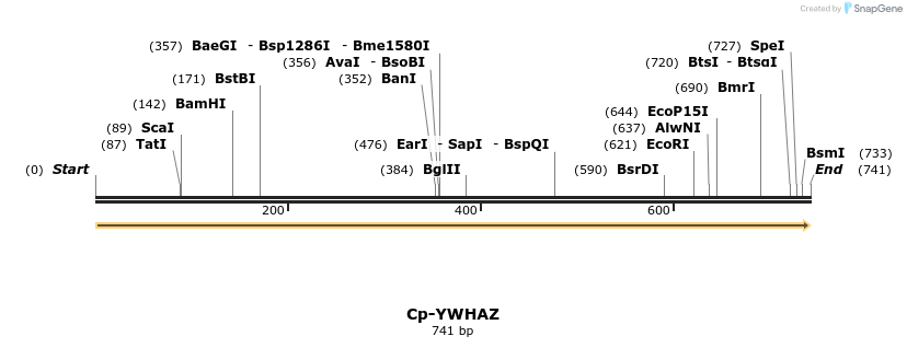 11961_map
