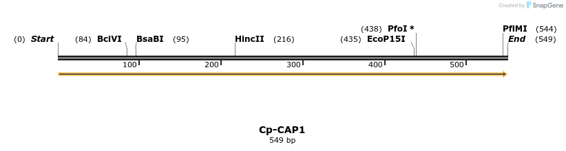 11962_map